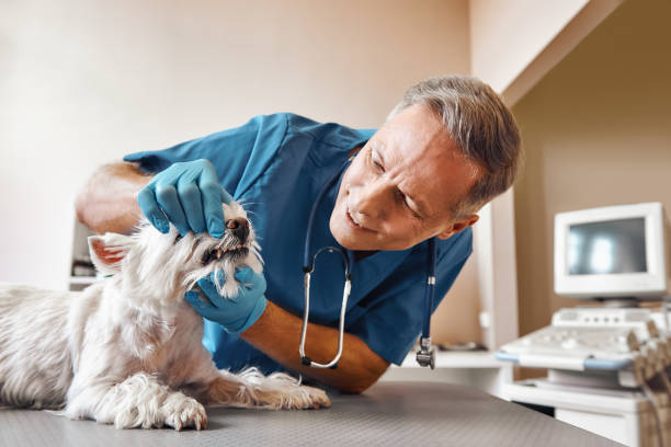 Best Urgent Care for Lost Fillings or Crowns in Morganton, NC