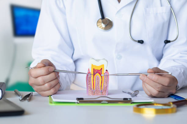 Best Emergency Orthodontic Services in Morganton, NC